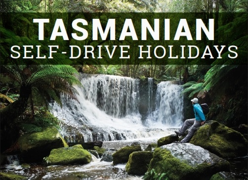 TasVacations self drive holidays to Tasmania